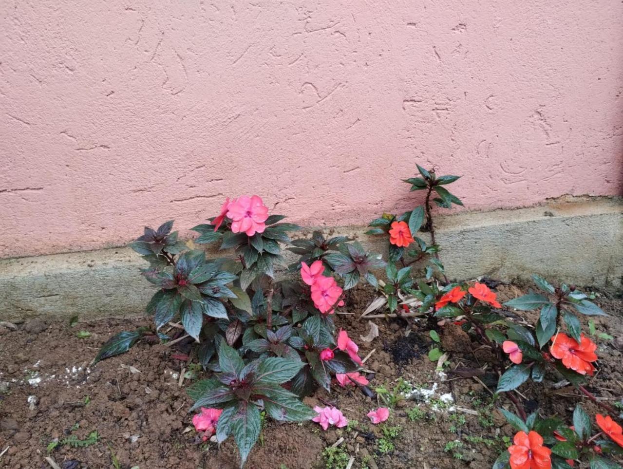 Pousada Morretes Arraial エクステリア 写真